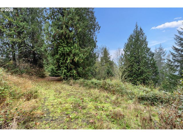 205 NEWT ESTATES Rd, Longview, WA 98632