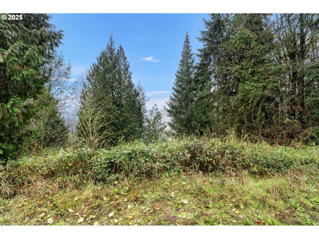 205 NEWT ESTATES Rd, Longview, WA 98632