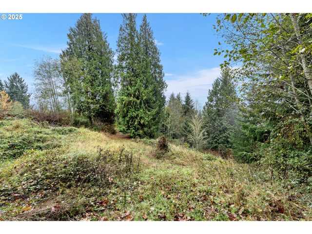205 NEWT ESTATES Rd, Longview, WA 98632