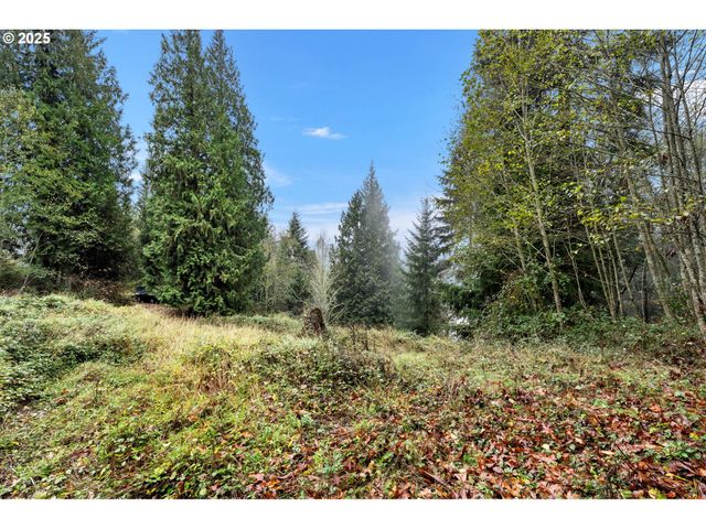 205 NEWT ESTATES Rd, Longview, WA 98632