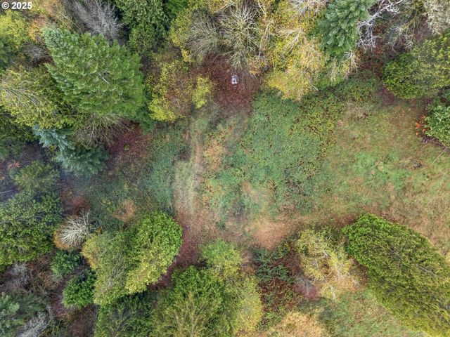 205 NEWT ESTATES Rd, Longview, WA 98632