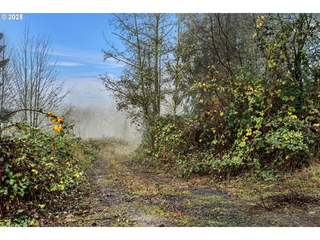 205 NEWT ESTATES Rd, Longview, WA 98632