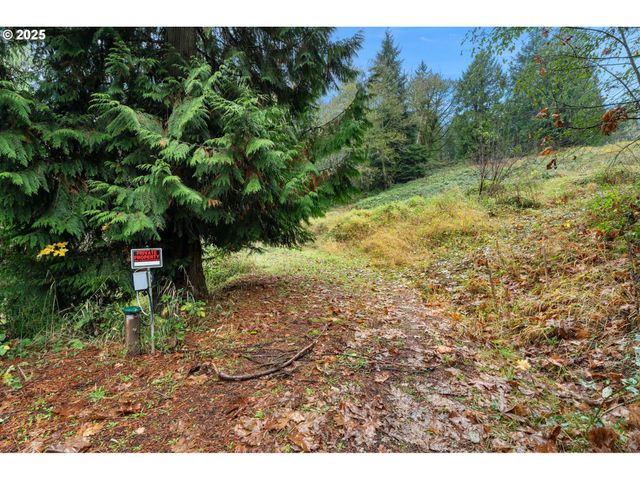 205 NEWT ESTATES Rd, Longview, WA 98632