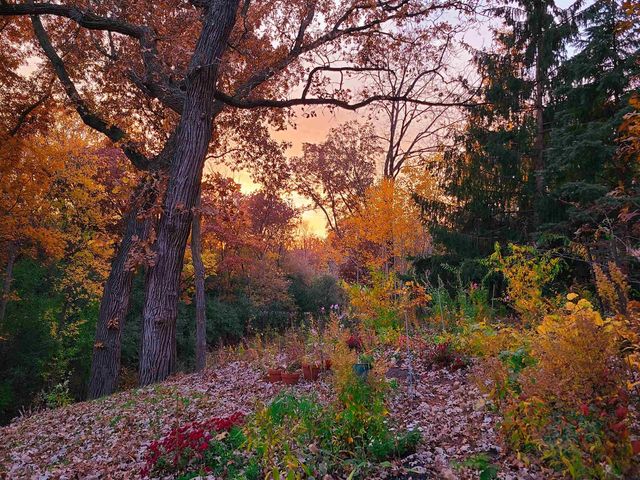 10168 N Edgewood Shores Road, Edgerton, WI 53534