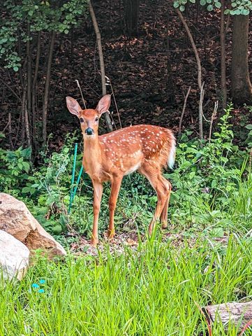 10168 N Edgewood Shores Road, Edgerton, WI 53534