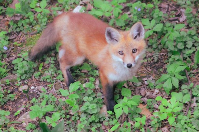 10168 N Edgewood Shores Road, Edgerton, WI 53534