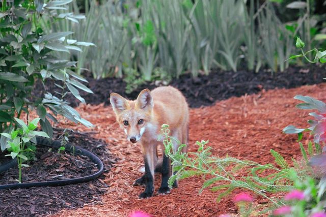 10168 N Edgewood Shores Road, Edgerton, WI 53534