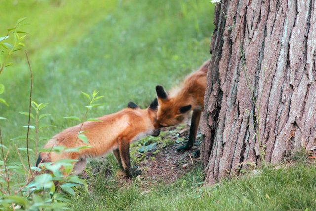 10168 N Edgewood Shores Road, Edgerton, WI 53534