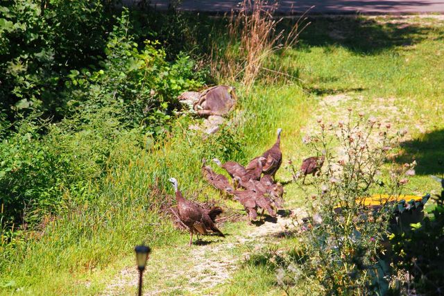 10168 N Edgewood Shores Road, Edgerton, WI 53534