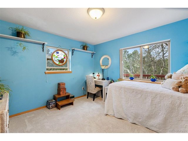 996 Spring Valley Dr, Divide, CO 80814