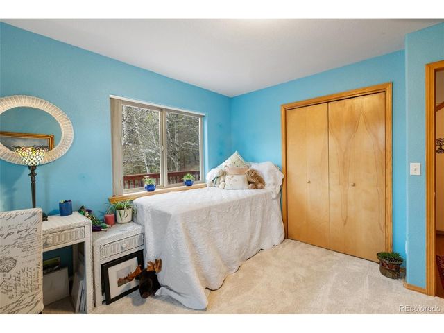 996 Spring Valley Dr, Divide, CO 80814