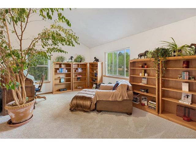 996 Spring Valley Dr, Divide, CO 80814