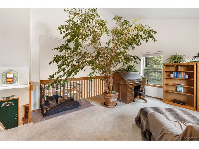 996 Spring Valley Dr, Divide, CO 80814