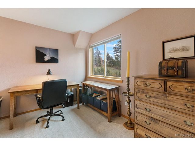 996 Spring Valley Dr, Divide, CO 80814