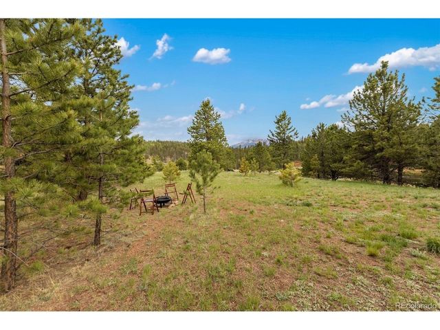 996 Spring Valley Dr, Divide, CO 80814
