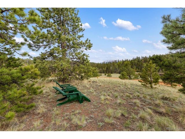 996 Spring Valley Dr, Divide, CO 80814