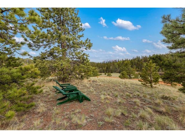 996 Spring Valley Dr, Divide, CO 80814