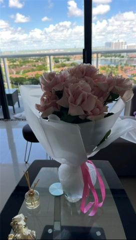 20505 E Country Club Dr 1739, Aventura, FL 33180