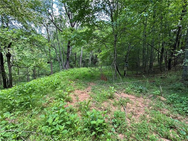 248 Wiley Reynolds Road, Millers Creek, NC 28651