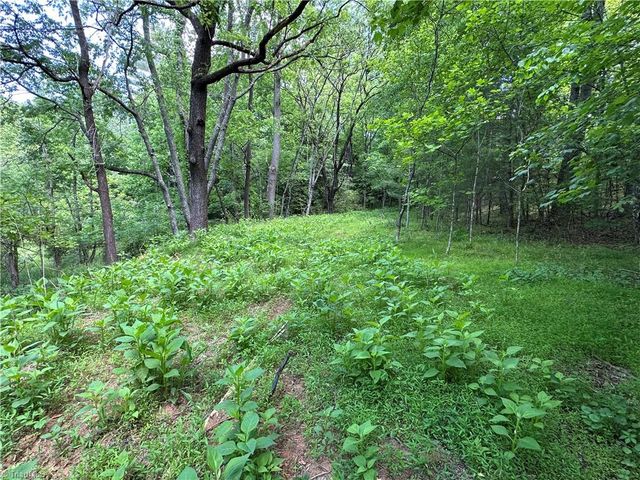 248 Wiley Reynolds Road, Millers Creek, NC 28651