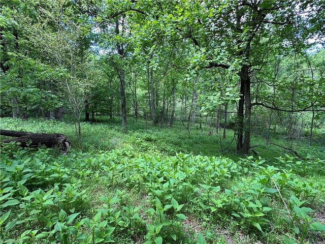 248 Wiley Reynolds Road, Millers Creek, NC 28651