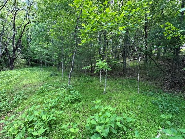 248 Wiley Reynolds Road, Millers Creek, NC 28651