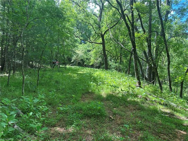 248 Wiley Reynolds Road, Millers Creek, NC 28651