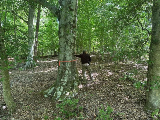248 Wiley Reynolds Road, Millers Creek, NC 28651