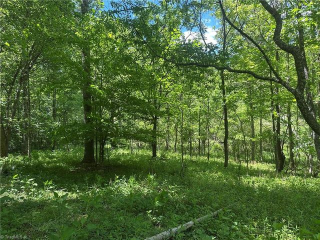 248 Wiley Reynolds Road, Millers Creek, NC 28651