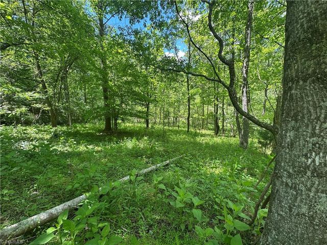 248 Wiley Reynolds Road, Millers Creek, NC 28651