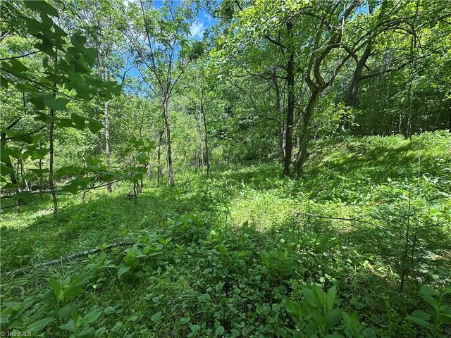 248 Wiley Reynolds Road, Millers Creek, NC 28651