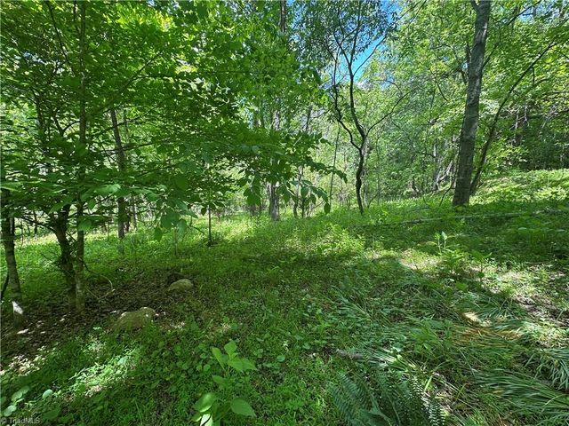 248 Wiley Reynolds Road, Millers Creek, NC 28651