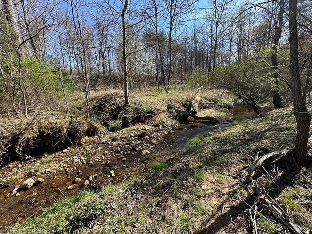 248 Wiley Reynolds Road, Millers Creek, NC 28651