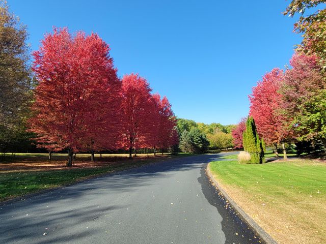 300 Lindsay Road, Hudson, WI 54016