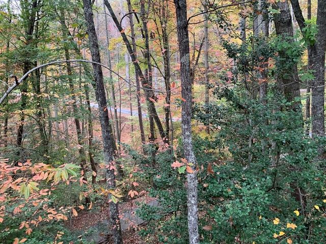 4,5&6 Mountain Wood Drive, Murphy, NC 28906