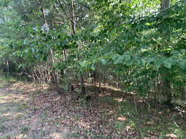 4,5&6 Mountain Wood Drive, Murphy, NC 28906