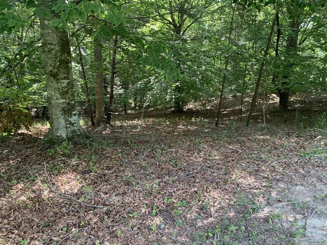 4,5&6 Mountain Wood Drive, Murphy, NC 28906