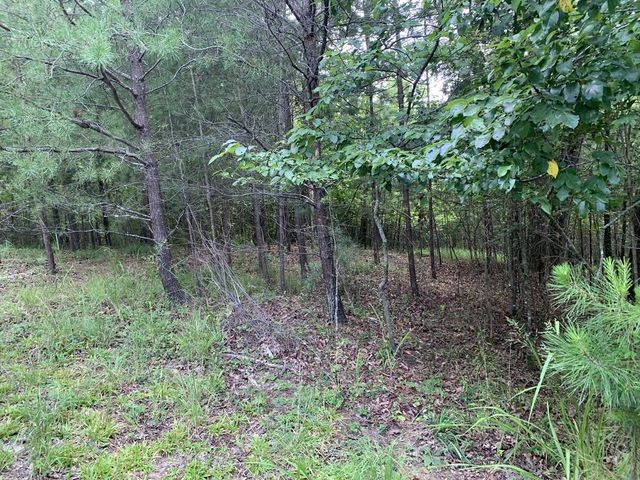 4,5&6 Mountain Wood Drive, Murphy, NC 28906