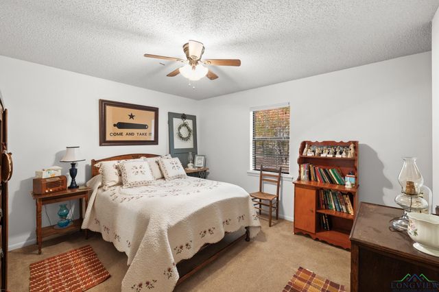 122 Mont Hall Road, Hallsville, TX 75650