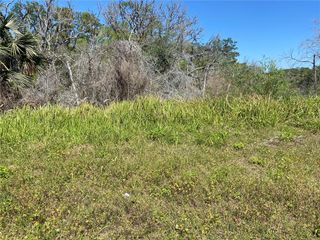 PARCEL NO 25 17 32 01 02 0280, New Smyrna Beach, FL 32168