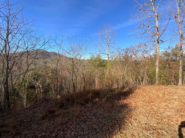 00 Brasstown View, Murphy, NC 28906