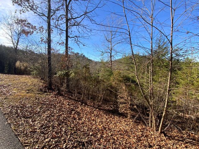 00 Brasstown View, Murphy, NC 28906