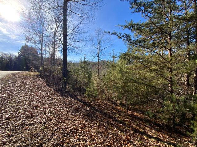 00 Brasstown View, Murphy, NC 28906