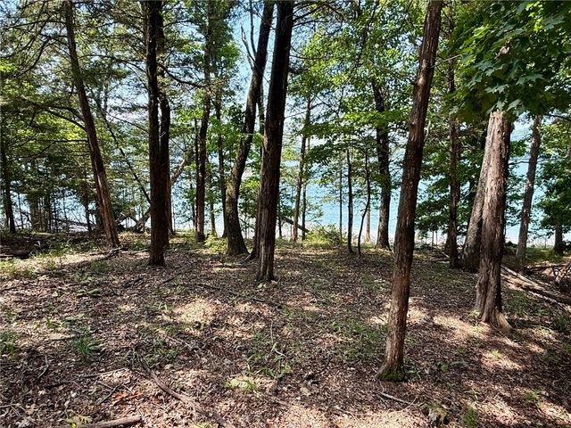 965 County Road 156, Eureka Springs, AR 72632