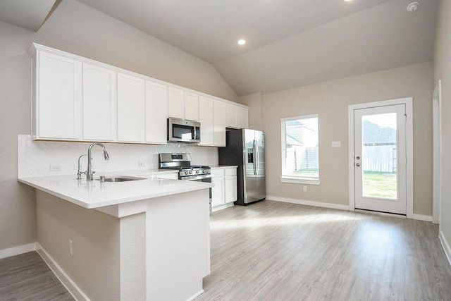 21631 Coral Mist Dr, Cypress, TX 77433