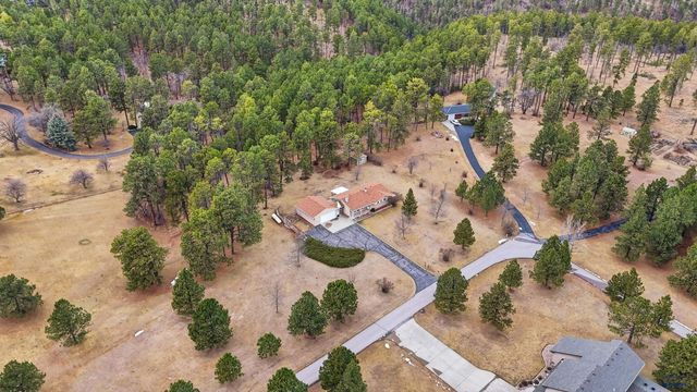 7605 BLUE BIRD LN, Black Hawk, SD 57718