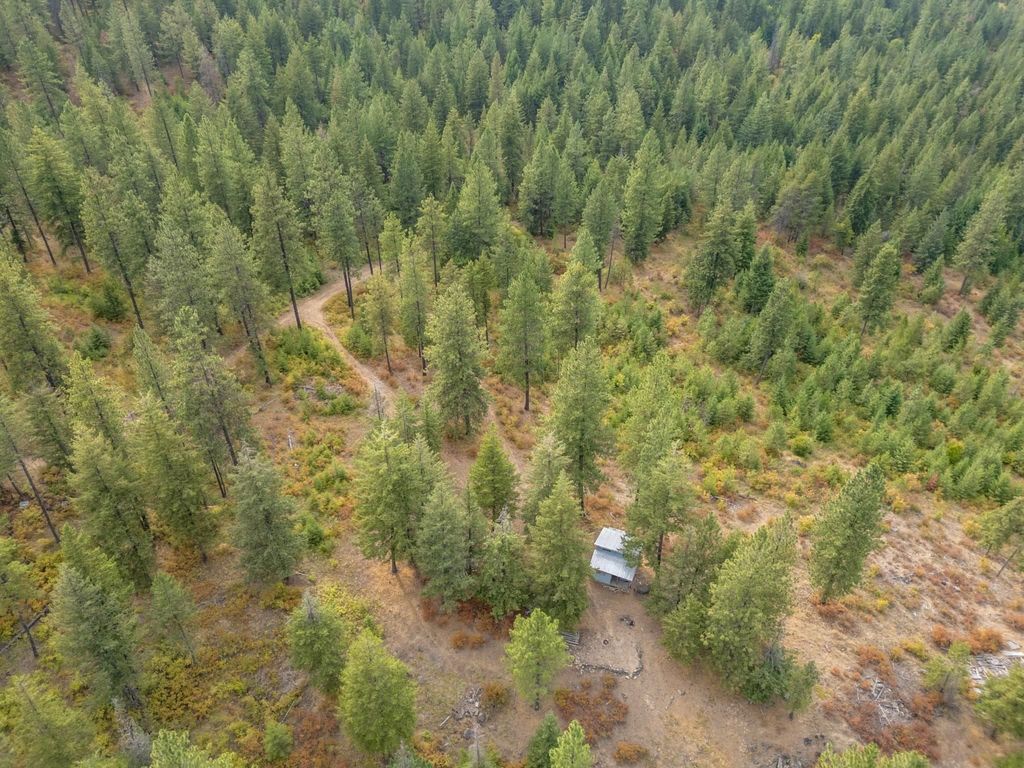 84XX Lodge Pole Ln, Chattaroy, WA 99003 photo 22