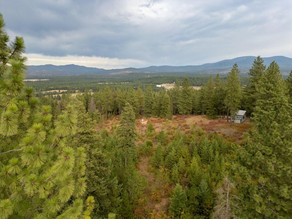 84XX Lodge Pole Ln, Chattaroy, WA 99003 photo 26