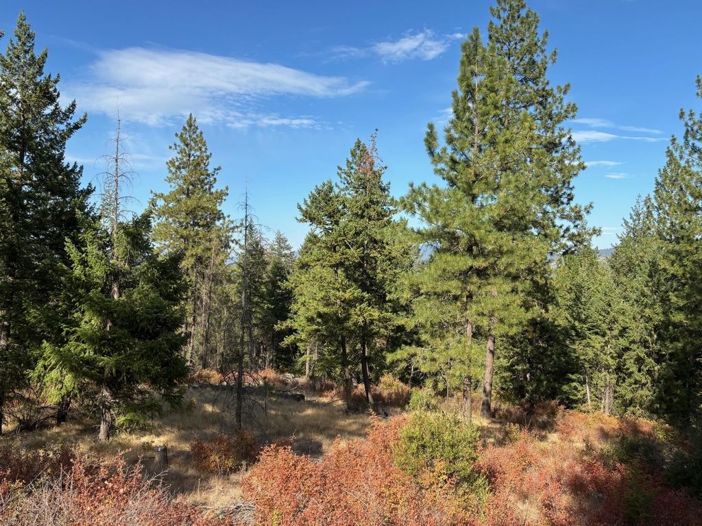 84XX Lodge Pole Ln, Chattaroy, WA 99003 photo 29