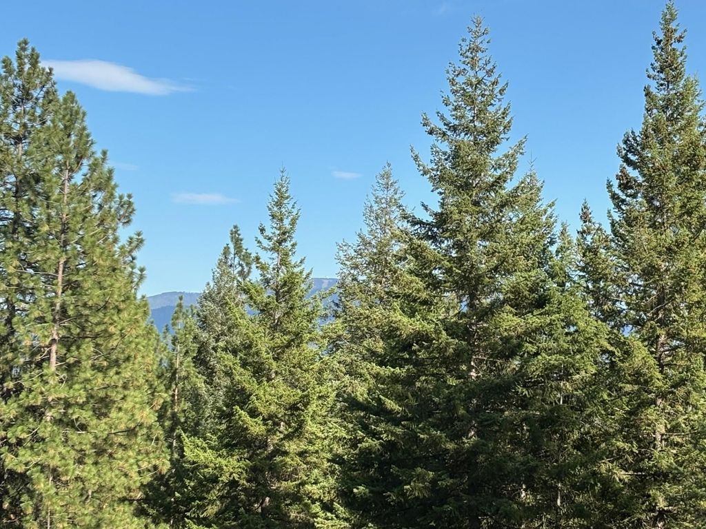 84XX Lodge Pole Ln, Chattaroy, WA 99003 photo 31